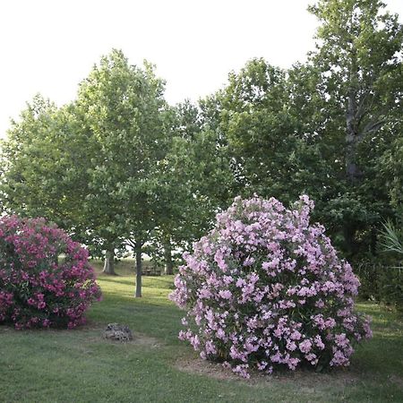 ポテンツァ・ピチェーナ Agriturismo La Fonte Di San Girioゲストハウス エクステリア 写真